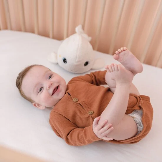 Peluche veilleuse   Béluga        de               Pabobo