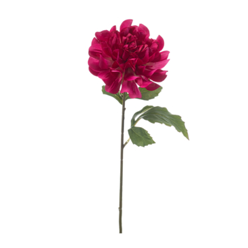 Dahlia spray beauty 63cm