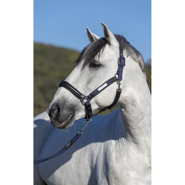 Halster LeMieux Capella Donkerblauw