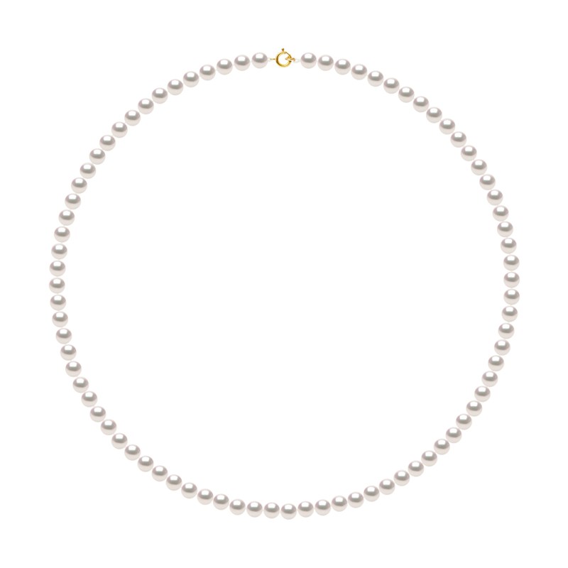 Collier Rang Perles AKOYA JAPONAISE Rondes 5,5 mm Or Jaune 18 Carats