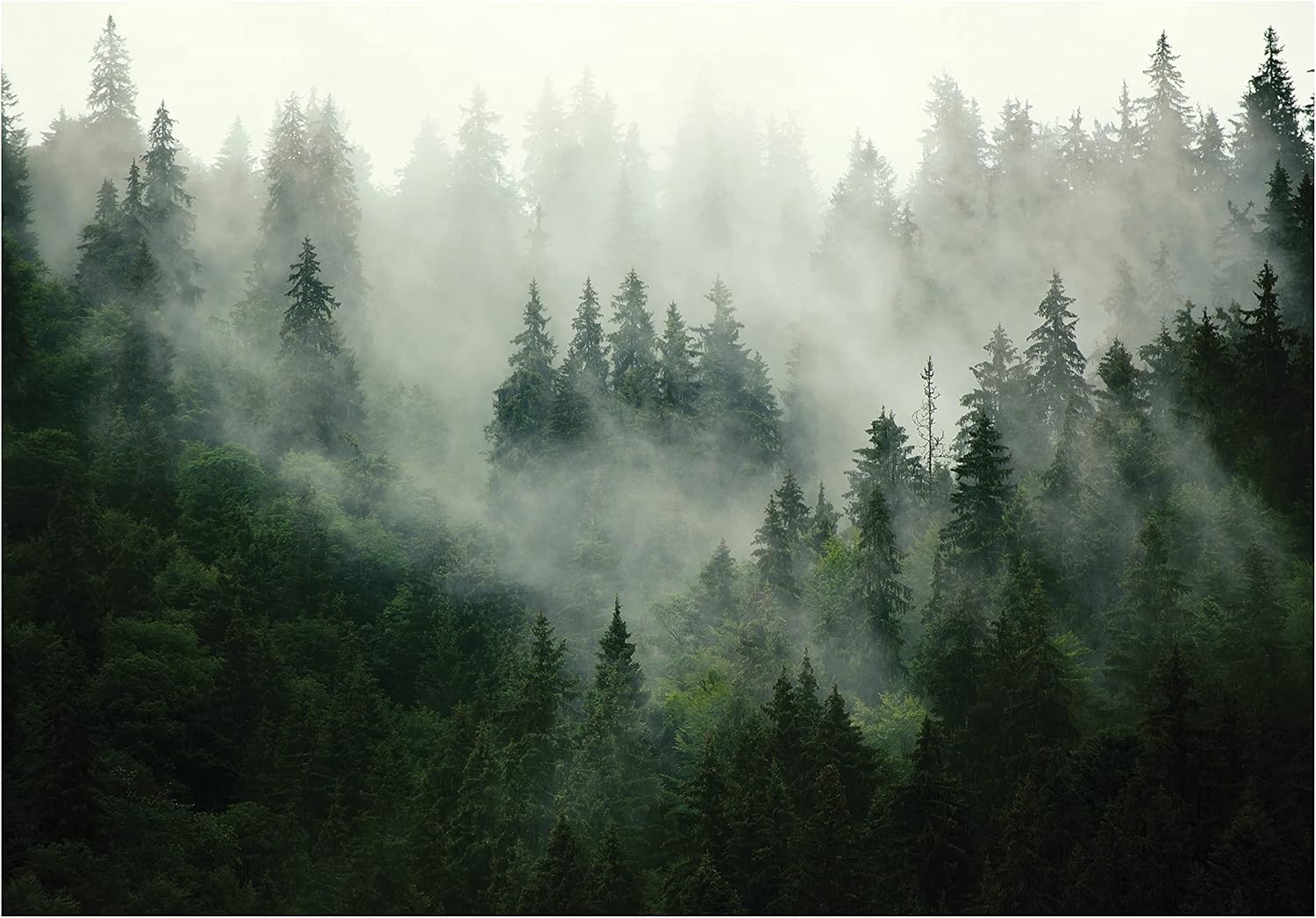 WallArena - Vlies Fototapete Wald Nebel Landschaft Grün Natur Bäume 368x254 cm - Fototapeten - Tapeten - für Wohnzimmer Schlafzimmer - Vliestapete Wandtapete Tapete 3D Effekt- inkl. Kleister