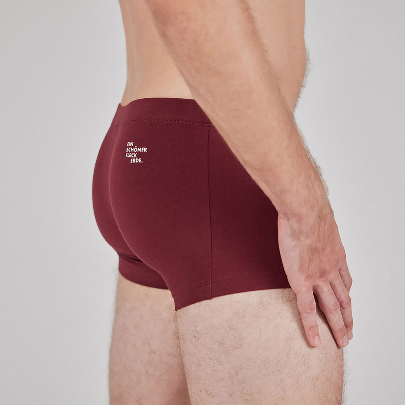 Ein schöner Fleck Erde Herren Wildspitze Boxer