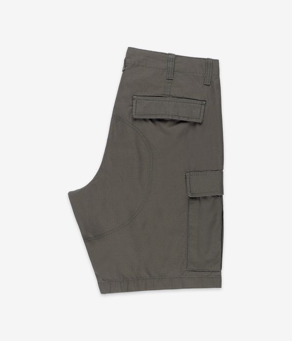 Element Legion Cargo Shorts (beetle)