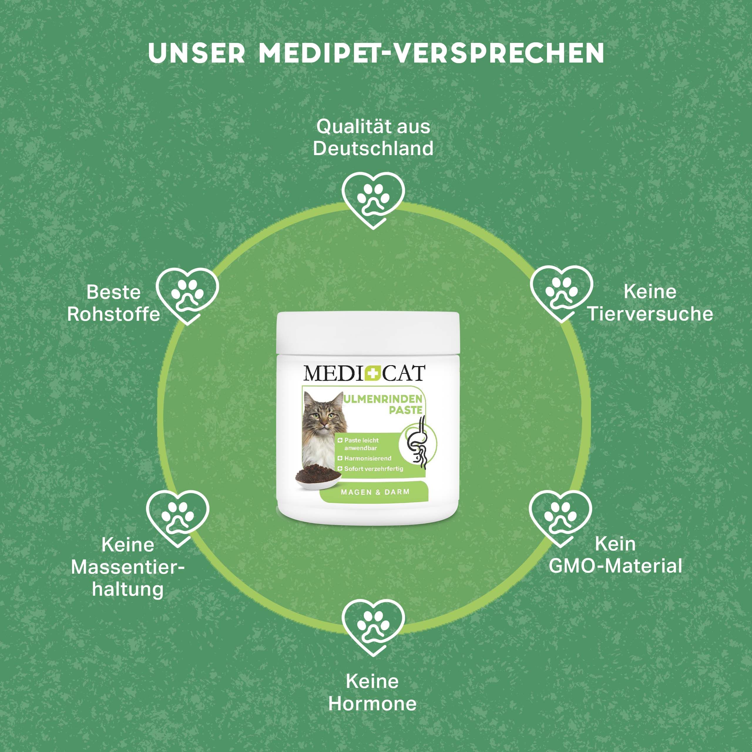 MEDICAT Ulmenrinde Paste