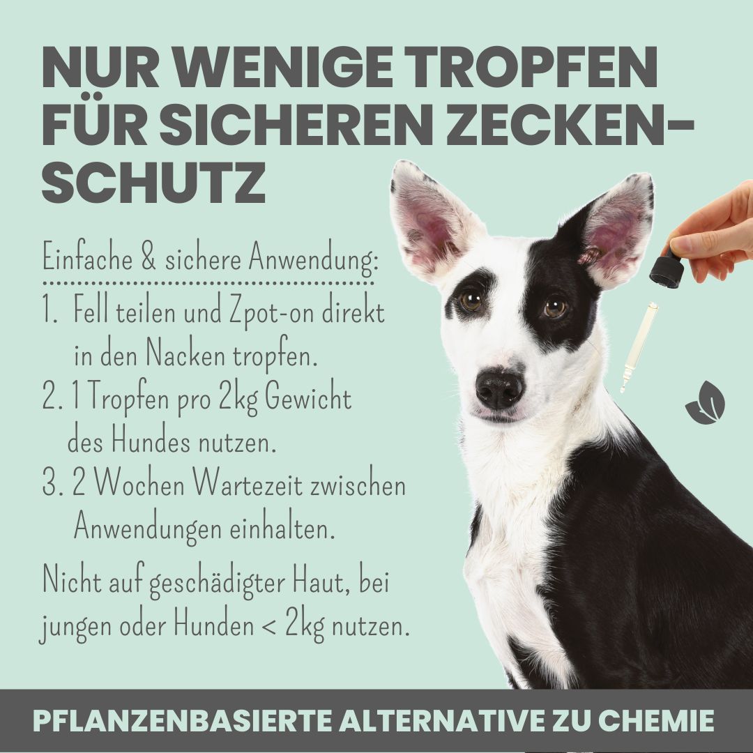 noms+ Zpot-on für Hunde gegen Zecken [Jahresvorrat], Flöhe, Milben & Mücken