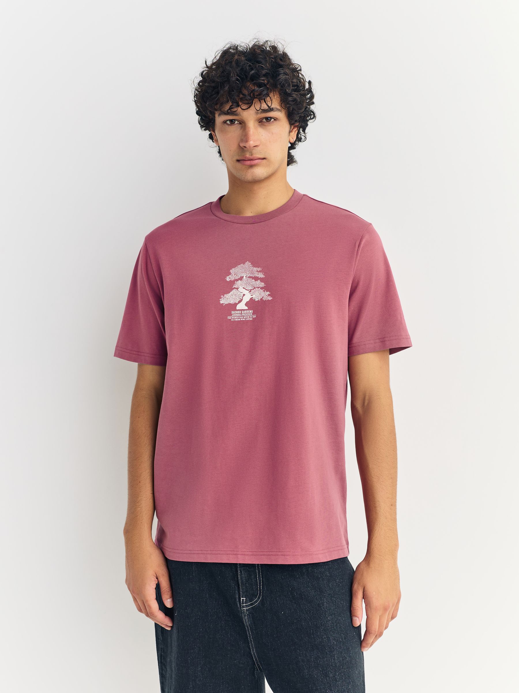 Blauw/groen/roze - Normale Pasvorm - Set van 3 T-shirts met print