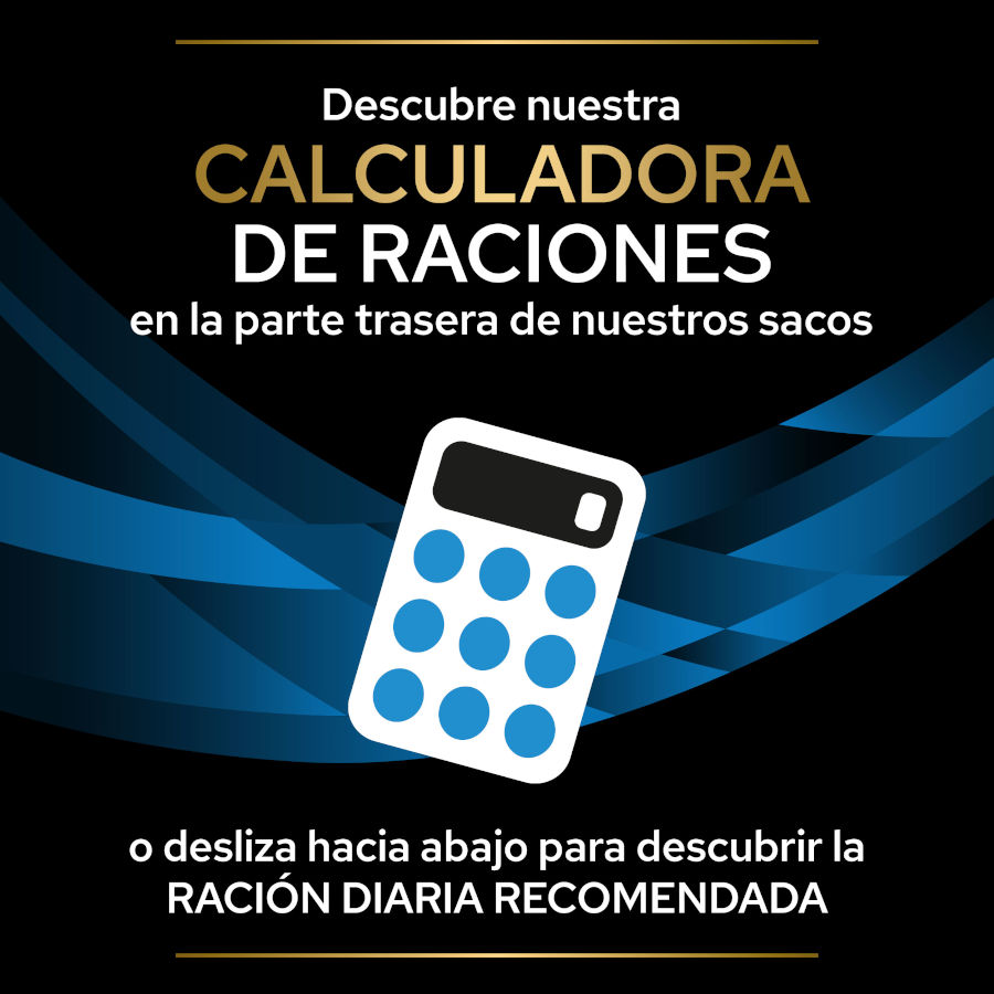 Ração Pro Plan Veterinary Diets para cães com dermatose