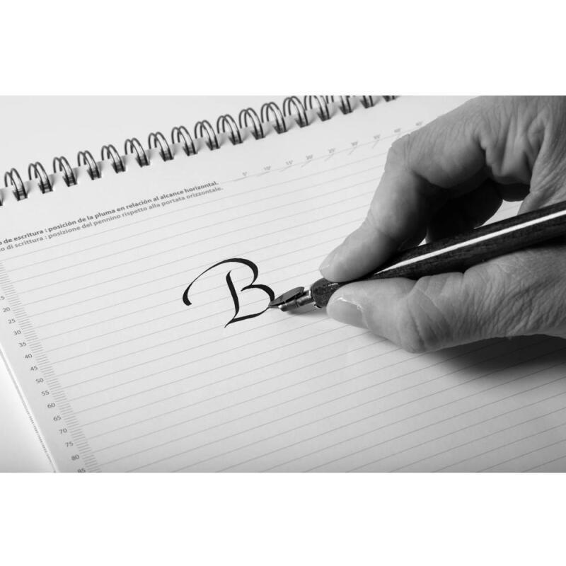 BOITE 50 PLUMES BANDZUG