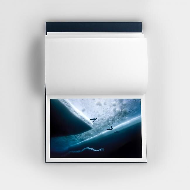 ADELIE TERRE ET MER