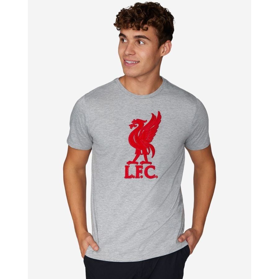 Liverpool T-Shirt Liverbird - Gris