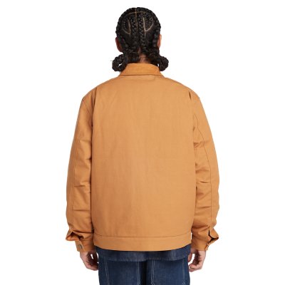 Blouson homme Strafford Insulated TIMBERLAND