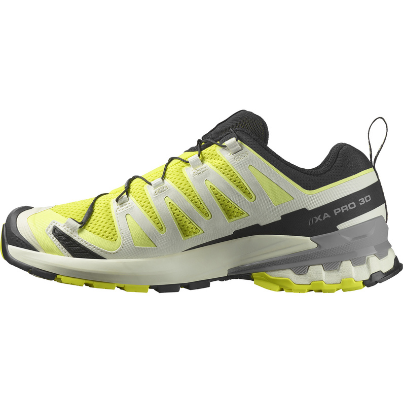 Salomon XA Pro 3D V9 Schuhe