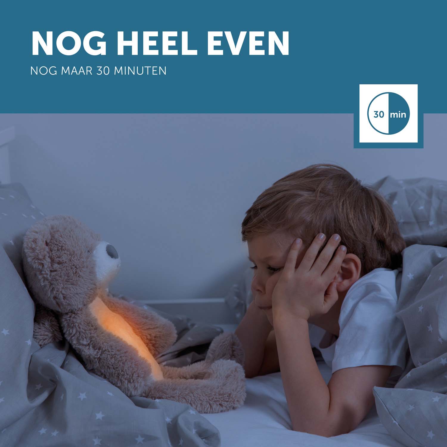 Zazu slaaptrainer Brody de beer taupe - nachtlampjes - Prénatal
