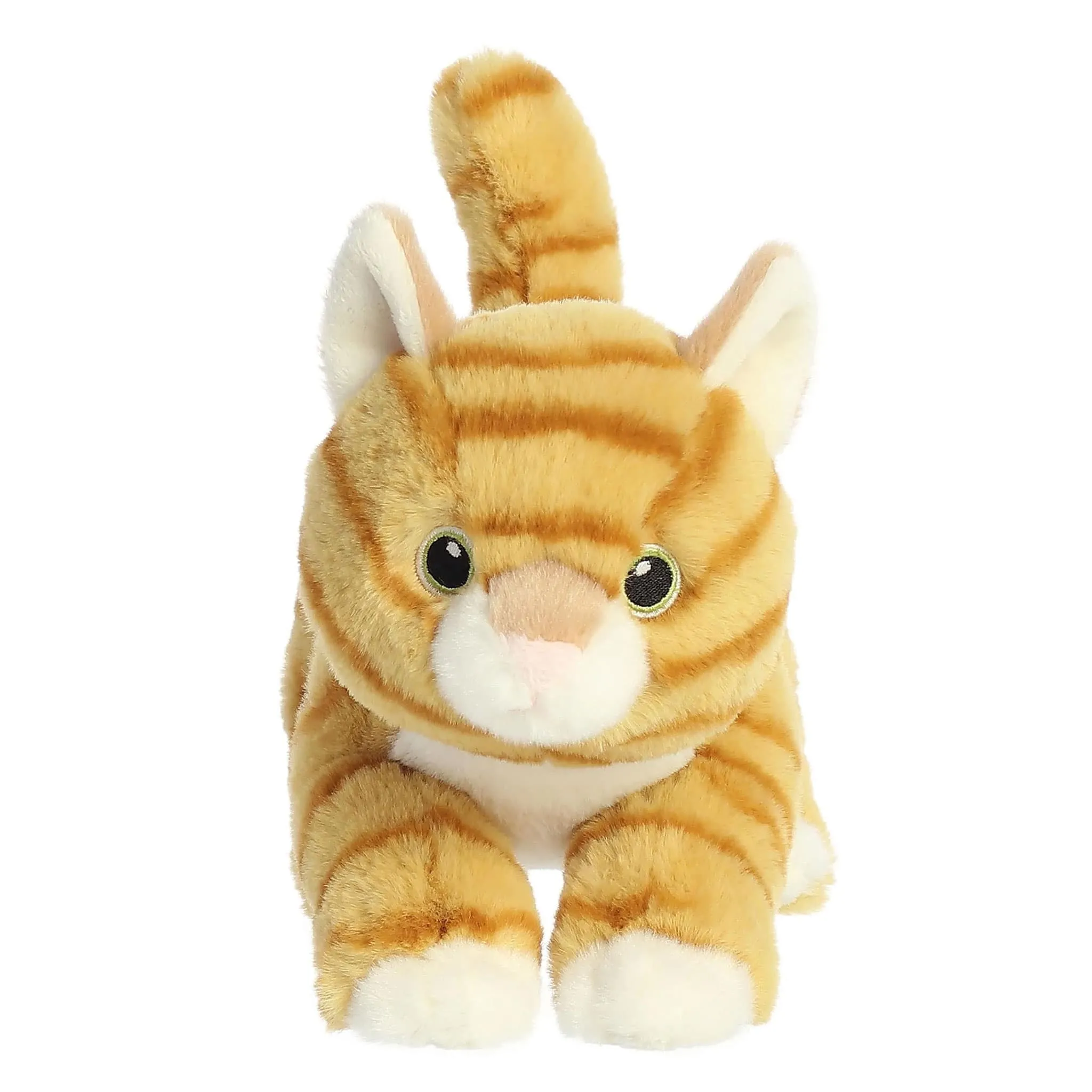Aurora Chat Tabby 8.5