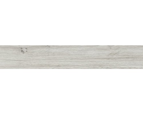 Basistegel Count Moon 10x60 cm