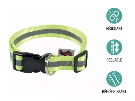 Collier Pour Chien 