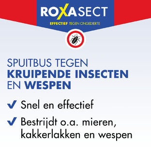 Roxasect Spuitbus Tegen Kruipende Insecten En Wespen 400ML