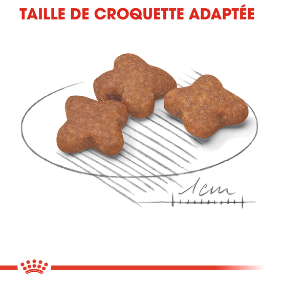 Croquettes chien de petite taille de +8ans Mini Adult 8+ 2kg