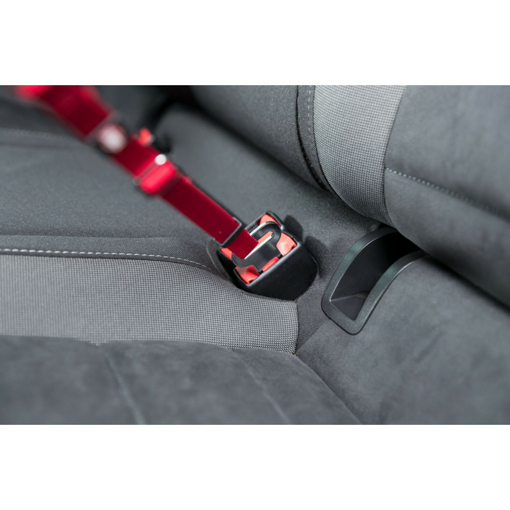 Harnais pour chat spéciale pour voiture
