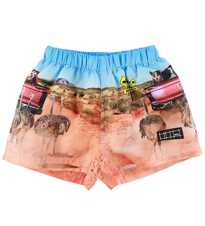 Molo Bådeshorts - UV50+ - Newton - In The Bush