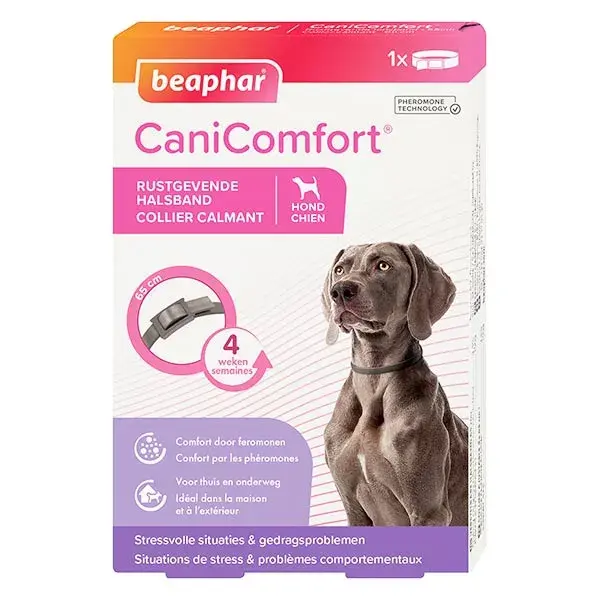 Coleira calmante para cães Beaphar Canicomfort com feromônios