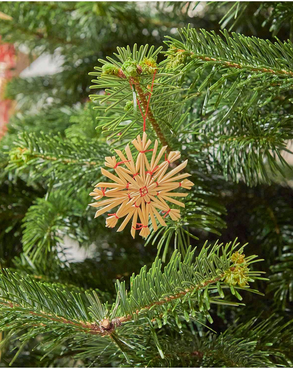 Stroh-Bastelset STERNE 9-teilig in rot/natur