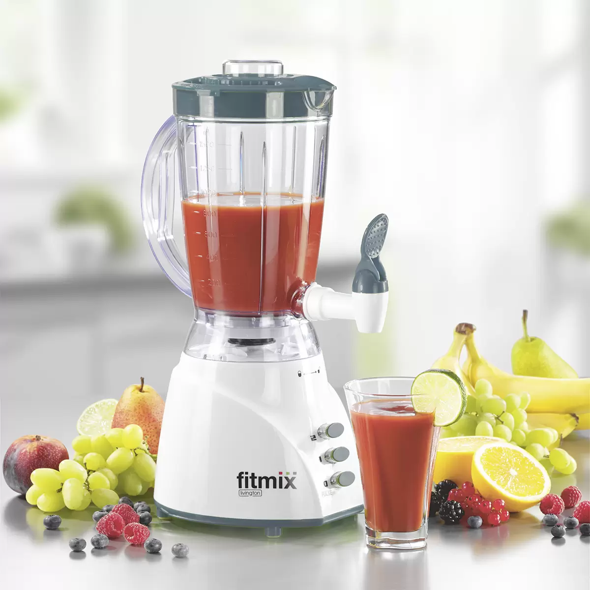 Hochgeschwindigkeitsmixer Fitmix