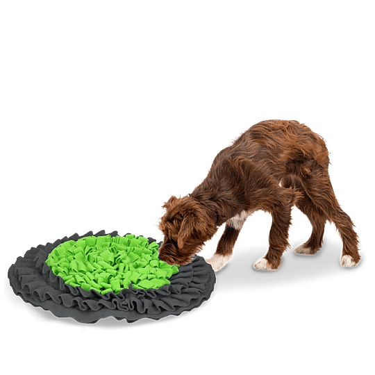 Eat Slow Live Longer Snuffle Mat Groen | 13610
