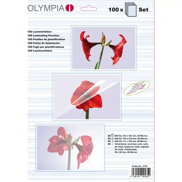 100er-Set Laminierfolien