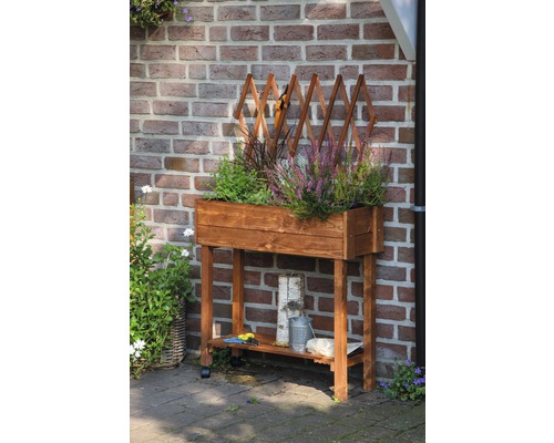 Verhoogd tuinbed op palen met trellis, mobiel, 79 x 28,5 x 130 cm, bruin gebeitst