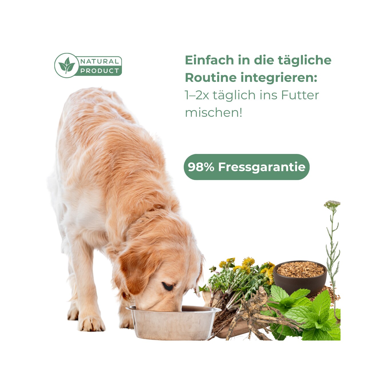 Hand aufs Pferd/Hund Nieren Kräuter für Hunde – Druckfrei 500g