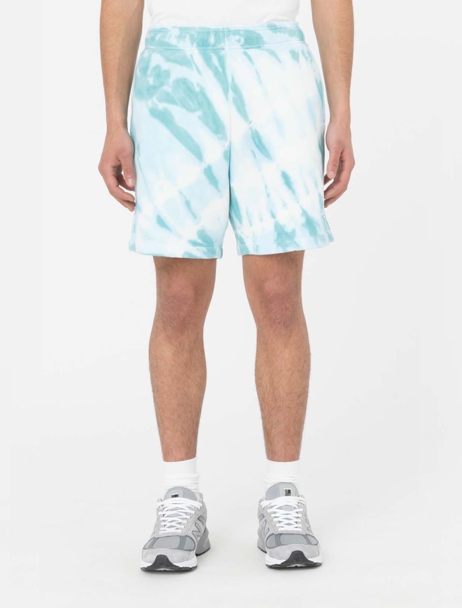 Dickies Westfir Short Sky Blue