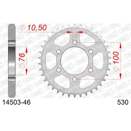 Kit chaine AFAM 530 Type Acier