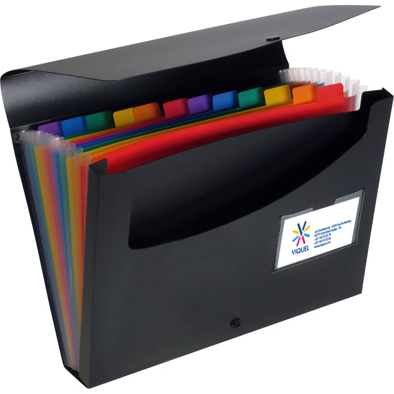 Trieur valisette polypropylène Viquel Rainbow Class 12 onglets