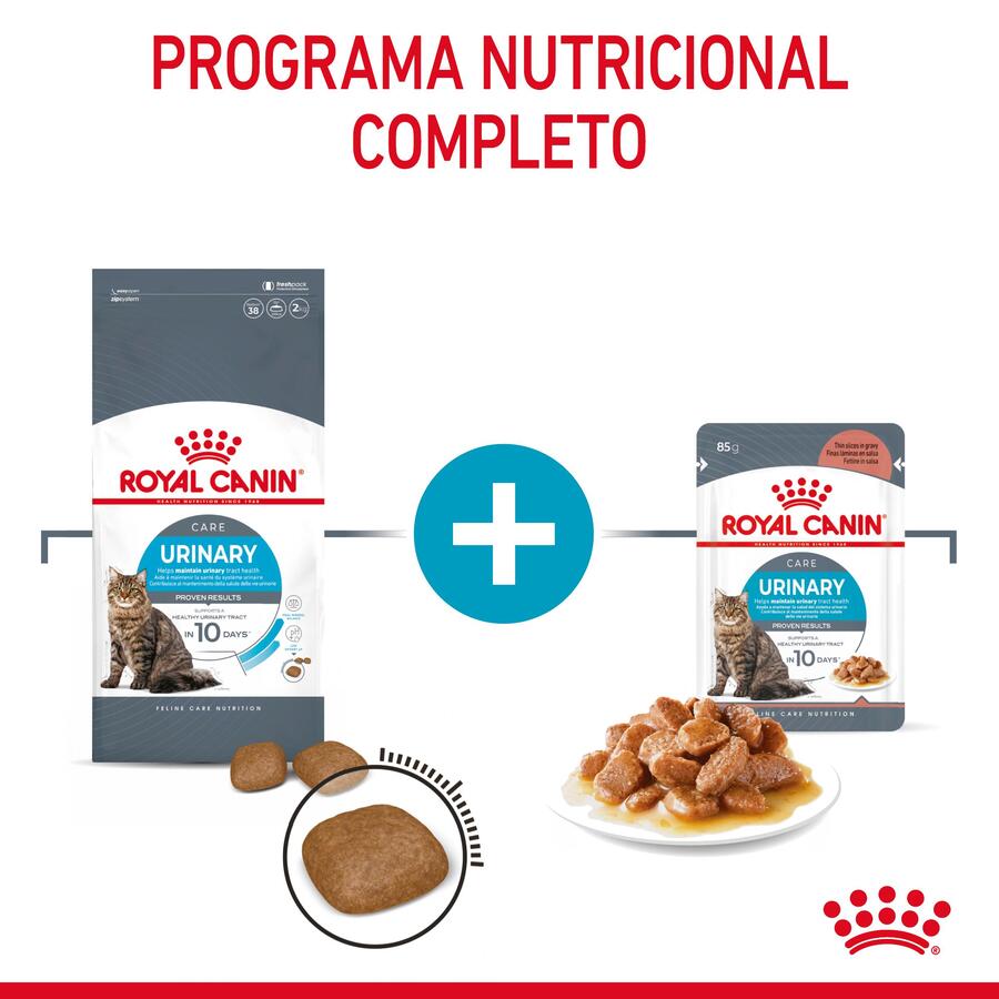 Sachê urinário Royal Canin em molho para gatos