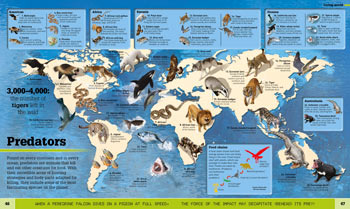 What's Where in the World: Planet Earth as you've never seen it before (Hardback)