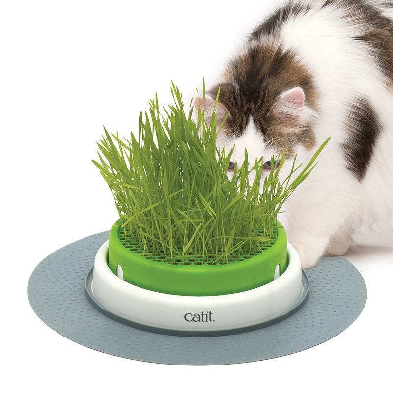 Jardinière d'herbe à chat Catit Senses 2.0