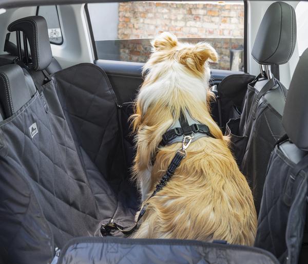 Dehner Lieblinge Hunde-Sicherheitsgurt