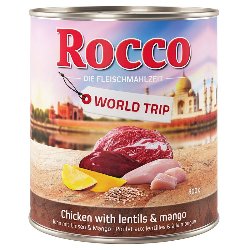 Rocco Tour du monde Inde pour chien