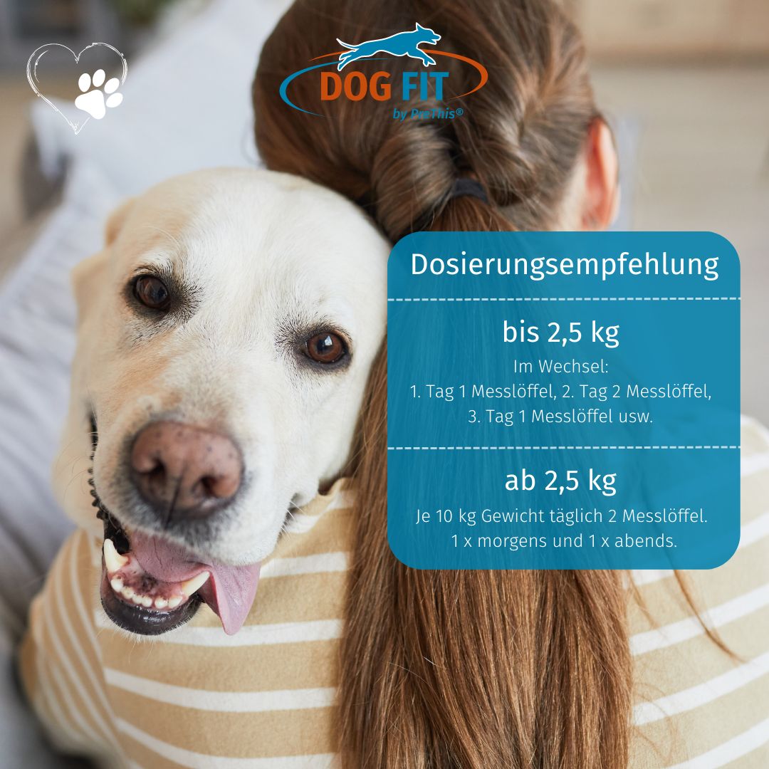 DOG FIT by PreThis® VITAL gastro » Bei Verdauungsproblemen, Durchfall und weichem Kot