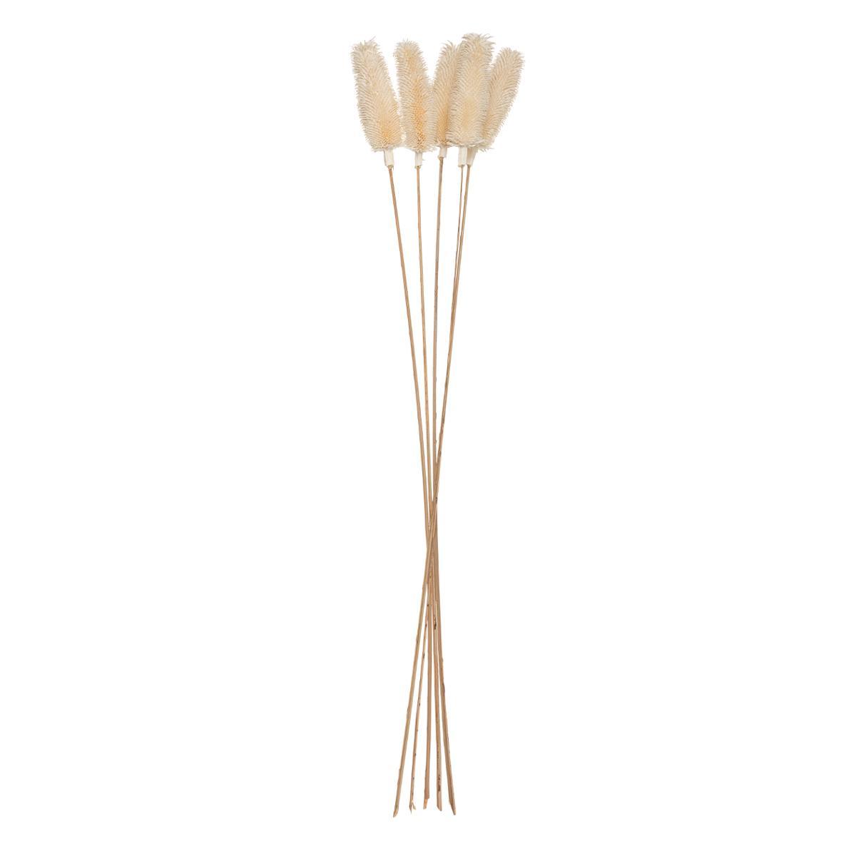 BOUQUET SECHE