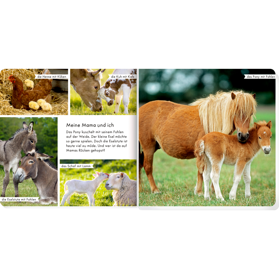 COPPENRATH Meine liebsten Tiere auf dem Bauernhof
