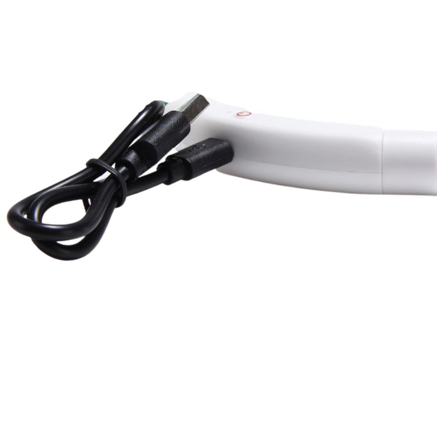 Coleira LED para animais de estimação
