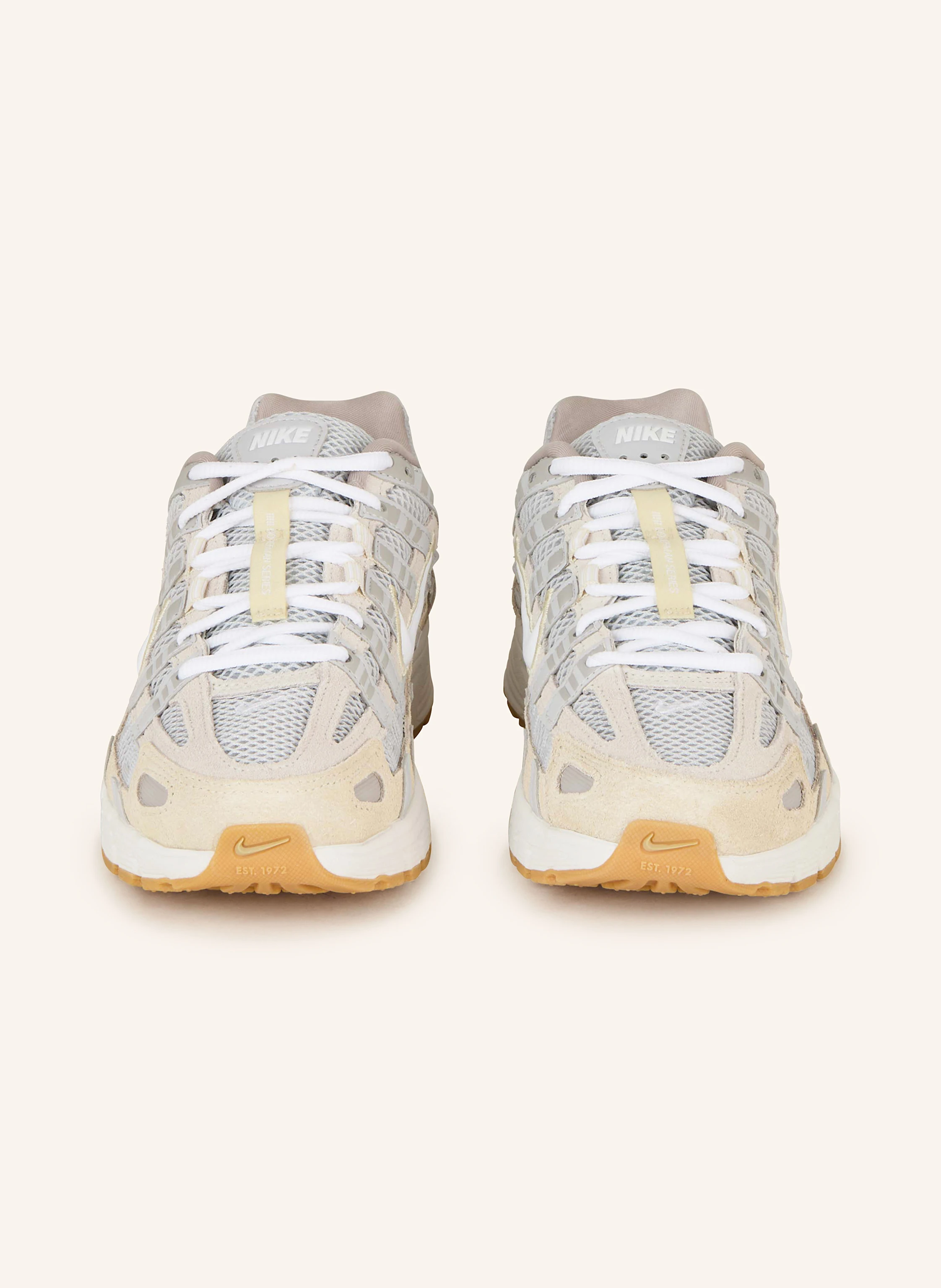 Nike Sneaker P-6000