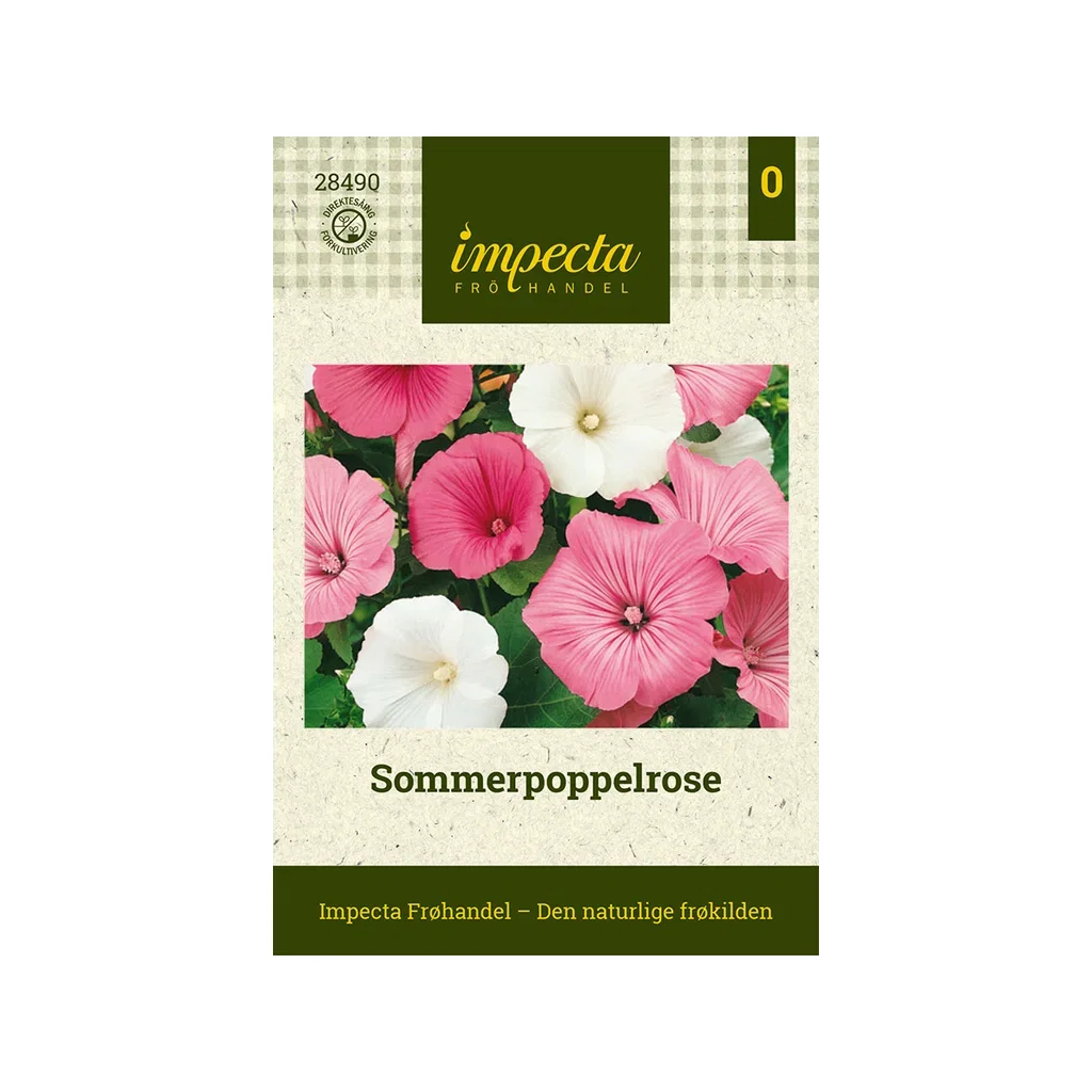 Malva trimestris Sommerpoppelrose