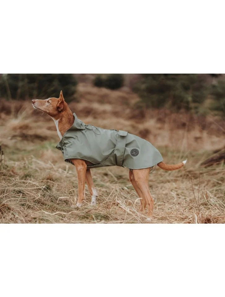 Hunter - Hunde Regnjakke Milford 45, grøn