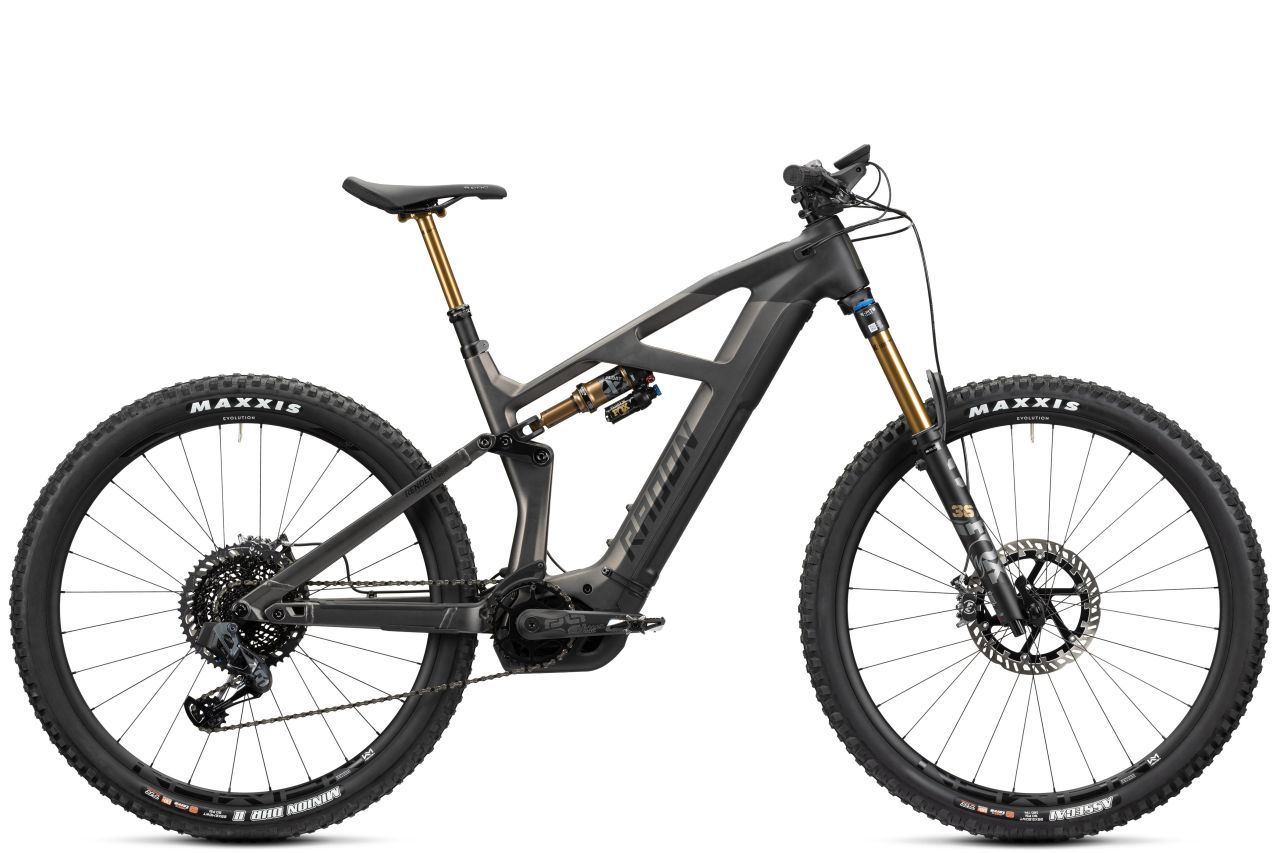 Radon Render 10.0 HD 750 kaufen | Bike-Discount