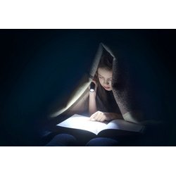 Lampe de poche LED, Daily Use 50B, argent/noir