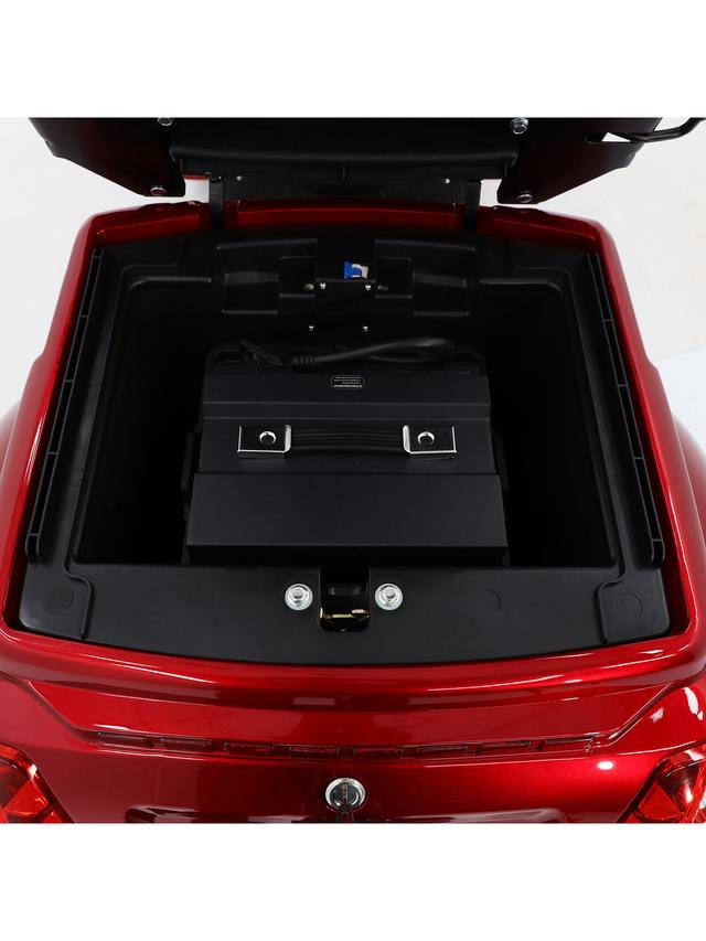 Theo Premium Elektrofahrzeug Lithium, 1000 Watt