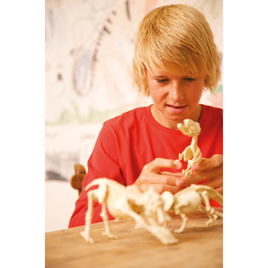 4M KidzLabs - Dinosaurier Ausgrabung Stegosaurus Mehrfarbig